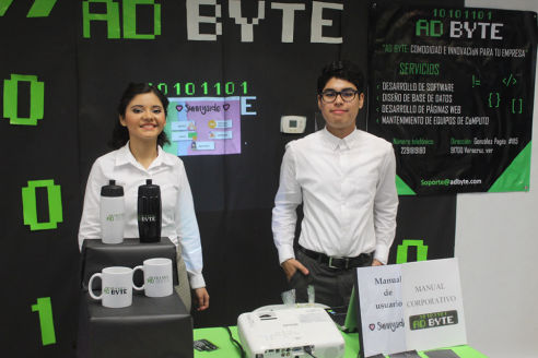 Técnico en Programación - Bachillerato Computación del Golfo