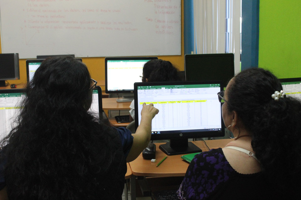 Curso de adultos básico