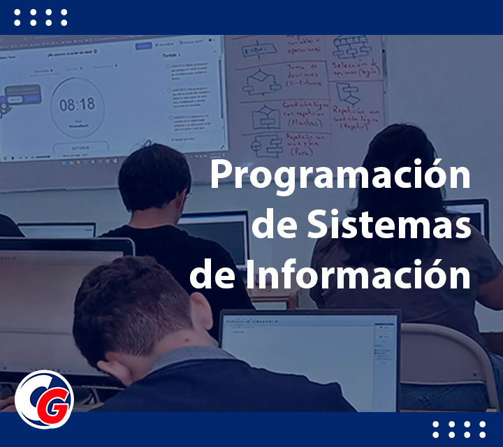 Programación de sistemas de información